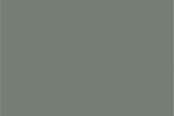 U604ST9 Reed Green laminate swatch